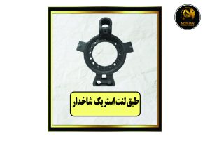 طبق لنت استریک شاخدار