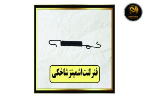 فنر لنت اشمیتز شاخکی