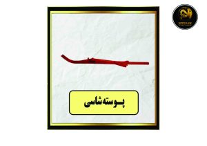 پوسته شاسی R-L