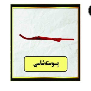 پوسته شاسی R-L